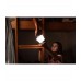 Лампа Goal Zero Lighthouse Core Lantern & USB Power Hub